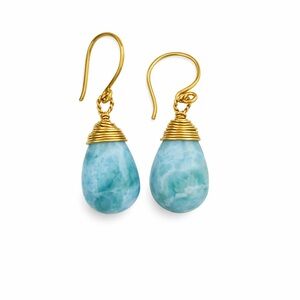 HK1104 S925 Larimar Wrapped Dangle Earrings
